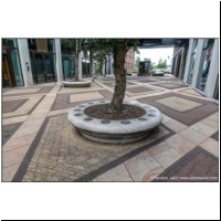 2025-09-11 Leidsche Rijn Ostteil 41.jpg